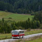 Jelcz M11 #317