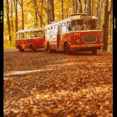Jelcz 272MEX+P01 #341+608