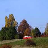 Jelcz 272MEX #341 + P01 #608
