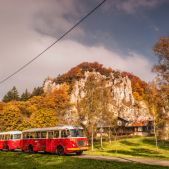 Jelcz 272 MEX #341 + P01 #608