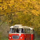 Jelcz 272 MEX #341 + P01 #608