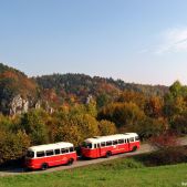 Jelcz 272 MEX #341 + P01 #608