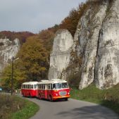 Jelcz 272 MEX #341 + P01 #608