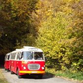 Jelcz 272 MEX #341 + P01 #608