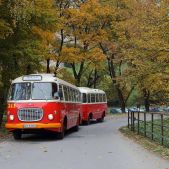 Jelcz 272 MEX #341 + P01 #608
