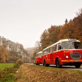 Jelcz 272MEX+P01 #341+608
