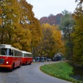 Jelcz 272 MEX#341 + P01 #608