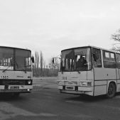 Ikarus 280.26 #1565 & Ikarus 260.04 #3926