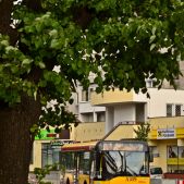 Solaris Urbinetto 10 #A309