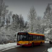 Solaris Urbinetto 10 #A309