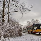 Solaris Urbinetto 10 #A339