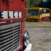 Brus Jelczem stoi