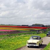 Gdzieś między Hoorn, a Medemblik...