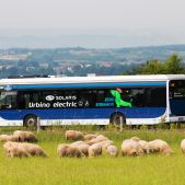 Solaris Urbino 12 Electric #DK602
