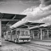 Ikarus 280.26 #280