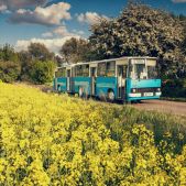 Ikarus 280.26 #ZV280