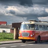 Jelcz 021 #549