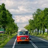 Jelcz 272 MEX #341