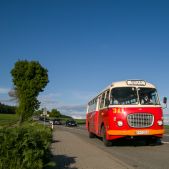 Jelcz 272 MEX #341