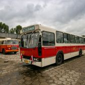 Jelcz M11 #317