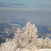 Zamglony Beskid Wyspowy