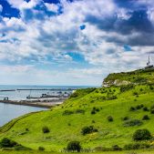 Dover