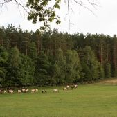 Roztoczański Park Narodowy