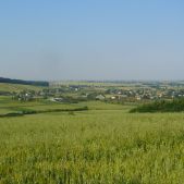 Lipcowe klimaty