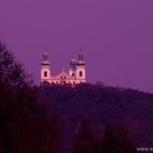 Bielany