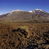 Pico del Teide