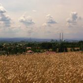 Kombinat