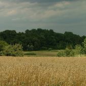Cisza przed burzą