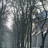 Planty Zimą