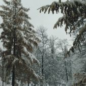 Widok z okna