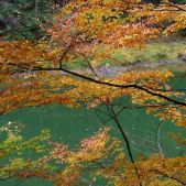 Dunajec