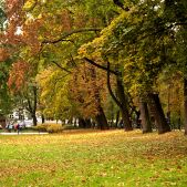 Jesień na krakowskich Plantach.