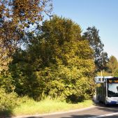 Mercedes Citaro G C2 #MC336