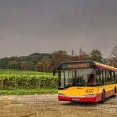 Solaris Urbinetto 10 #A337