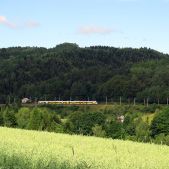 45WE-019