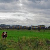 EN79-001