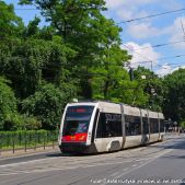 Solaris Tramino S100 #451