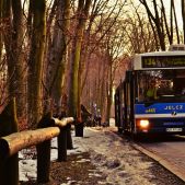 Jelcz M181MB #DD443