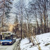 Jelcz M181MB #DD443