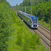 ED161-003