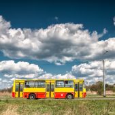 Ikarus 260.73 #6306