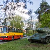 Ikarus 260.73 #6306