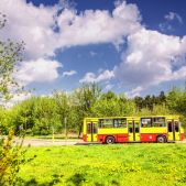 Ikarus 260.73 #6306