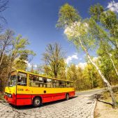 Ikarus 260.73 #6306