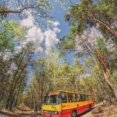 Ikarus 260.73 #6306