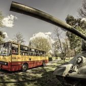 Ikarus 260.73 #6306